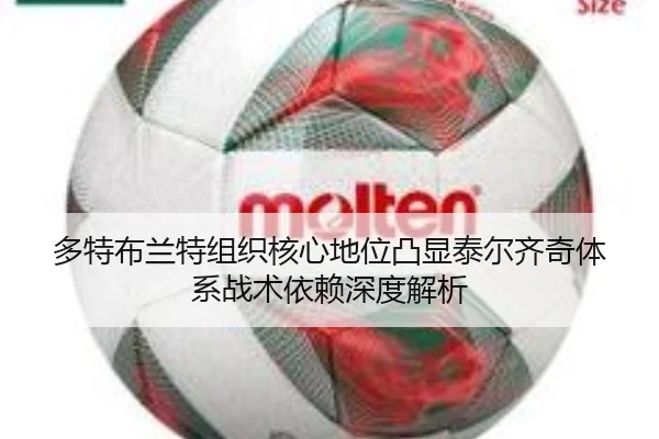多特布兰特组织核心地位凸显泰尔齐奇体系战术依赖深度解析