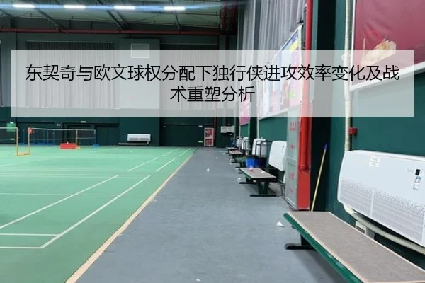 东契奇与欧文球权分配下独行侠进攻效率变化及战术重塑分析