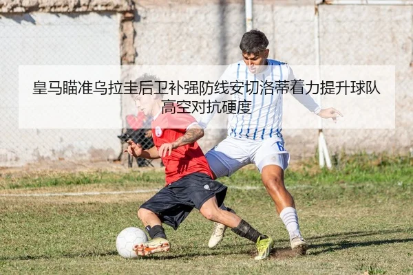 img_1783700394848_4035_1_751.jpg